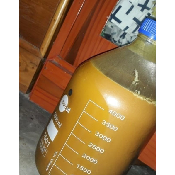 Agarwood Oil (Fat's Of Agarwood Tree) Boya 