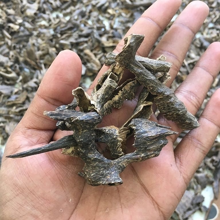 Triple Super Muri(Oudh Chips)